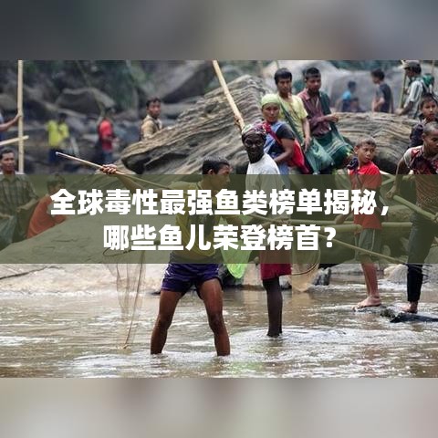 全球毒性最强鱼类榜单揭秘，哪些鱼儿荣登榜首？