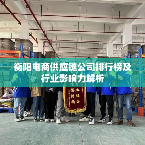 衡阳电商供应链公司排行榜及行业影响力解析
