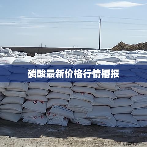 磷酸最新价格行情播报