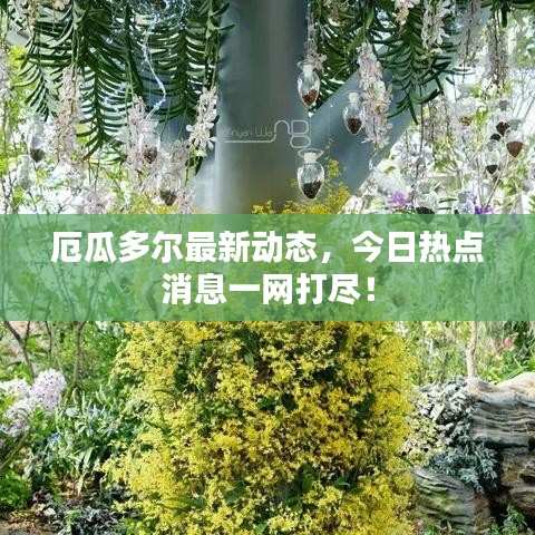 厄瓜多尔最新动态，今日热点消息一网打尽！