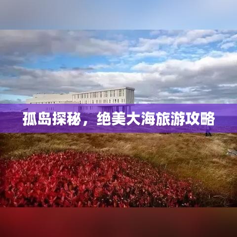 孤岛探秘，绝美大海旅游攻略