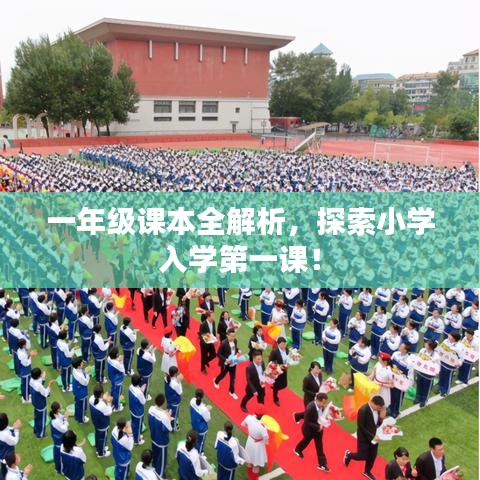 一年级课本全解析，探索小学入学第一课！
