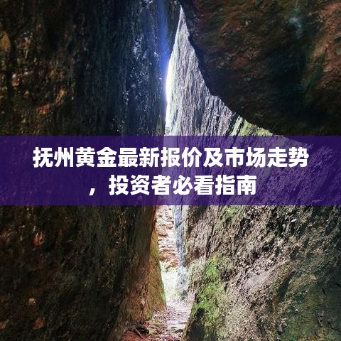 抚州黄金最新报价及市场走势，投资者必看指南