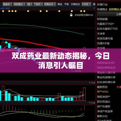 双成药业最新动态揭秘，今日消息引人瞩目