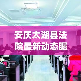 安庆太湖县法院最新动态瞩目呈现