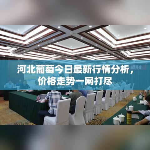 河北葡萄今日最新行情分析，价格走势一网打尽