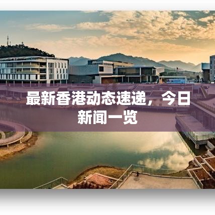 最新香港动态速递，今日新闻一览