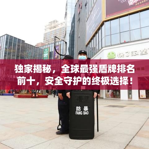 独家揭秘，全球最强盾牌排名前十，安全守护的终极选择！
