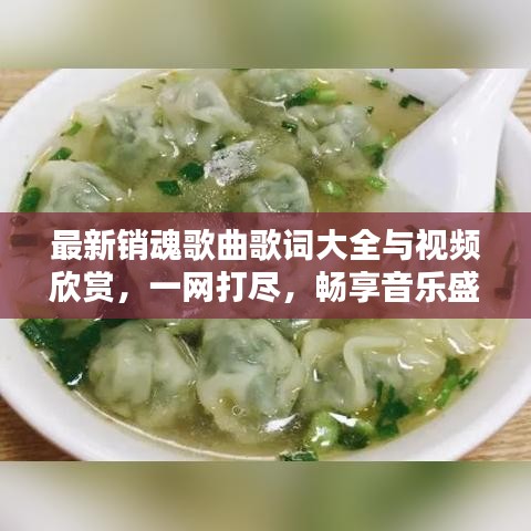 最新销魂歌曲歌词大全与视频欣赏，一网打尽，畅享音乐盛宴