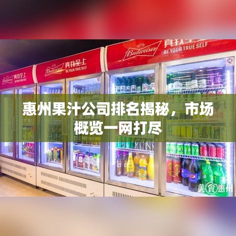 惠州果汁公司排名揭秘，市场概览一网打尽