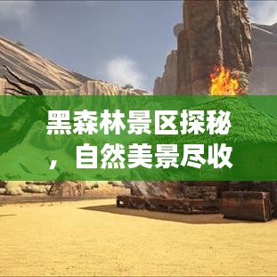 黑森林景区探秘，自然美景尽收眼底