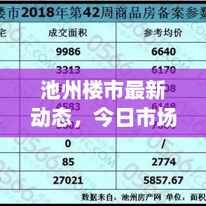 池州楼市最新动态，今日市场走势与前景展望