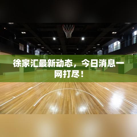 徐家汇最新动态，今日消息一网打尽！
