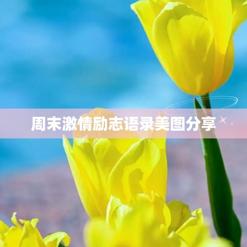 周末激情励志语录美图分享