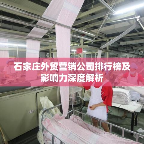 石家庄外贸营销公司排行榜及影响力深度解析