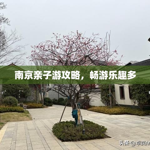 南京亲子游攻略，畅游乐趣多