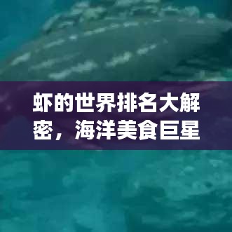 虾的世界排名大解密，海洋美食巨星探秘之旅