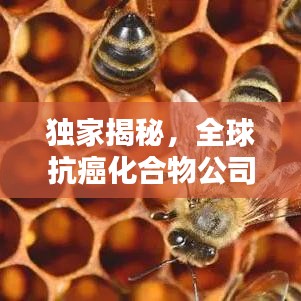 独家揭秘，全球抗癌化合物公司排名大揭秘！