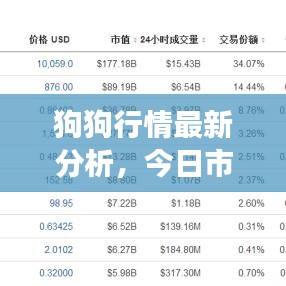 狗狗行情最新分析，今日市场走势揭秘！