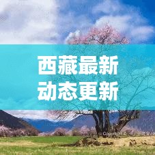 西藏最新动态更新今日消息揭秘