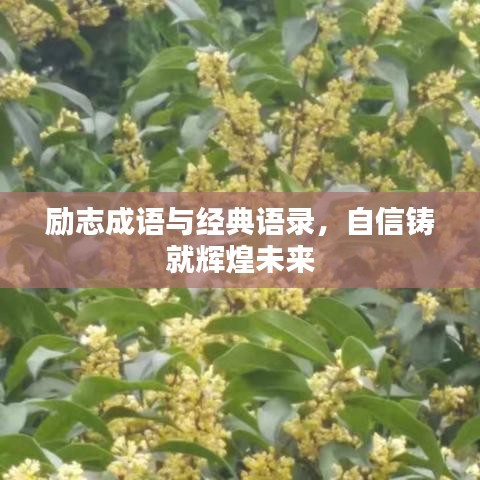 励志成语与经典语录，自信铸就辉煌未来