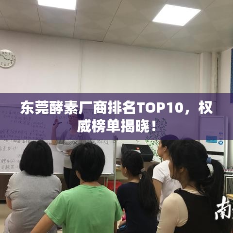 东莞酵素厂商排名TOP10，权威榜单揭晓！