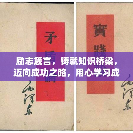 励志箴言，铸就知识桥梁，迈向成功之路，用心学习成就梦想