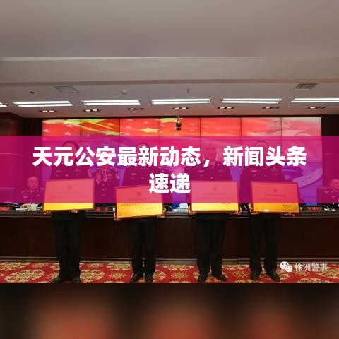 天元公安最新动态，新闻头条速递