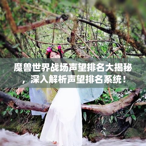 魔兽世界战场声望排名大揭秘，深入解析声望排名系统！