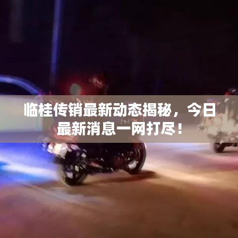 临桂传销最新动态揭秘，今日最新消息一网打尽！
