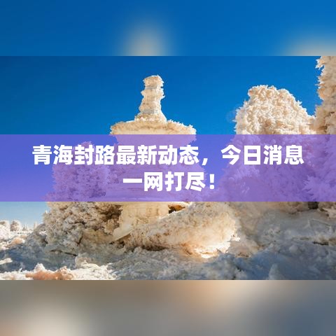 青海封路最新动态，今日消息一网打尽！