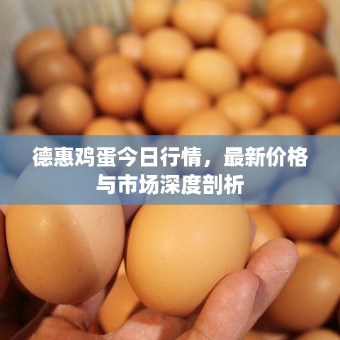 德惠鸡蛋今日行情，最新价格与市场深度剖析