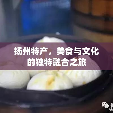 扬州特产，美食与文化的独特融合之旅