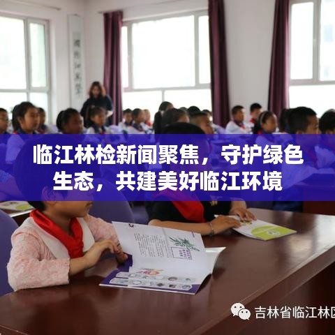 临江林检新闻聚焦，守护绿色生态，共建美好临江环境