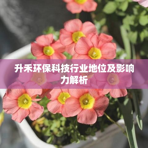 升禾环保科技行业地位及影响力解析