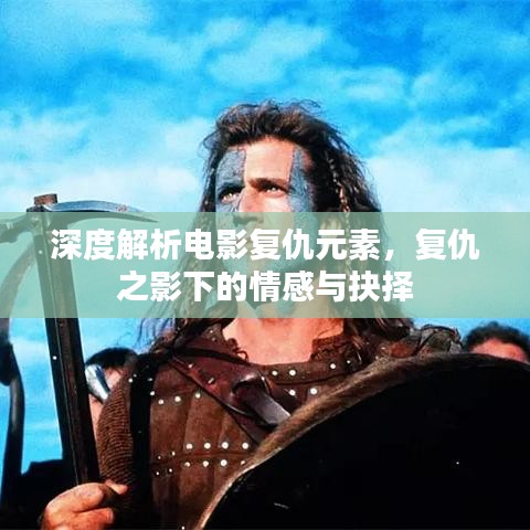 深度解析电影复仇元素，复仇之影下的情感与抉择