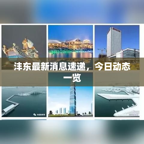 沣东最新消息速递，今日动态一览