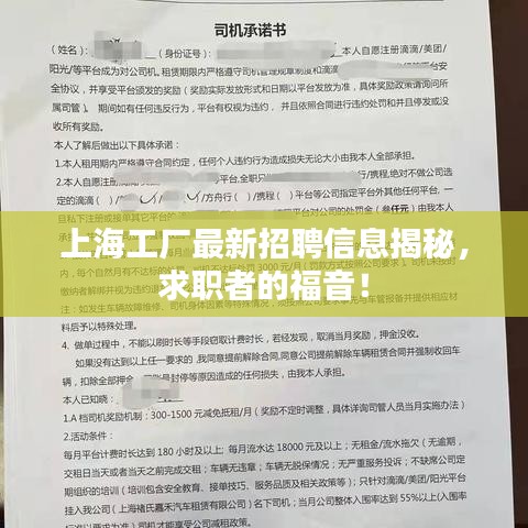上海工厂最新招聘信息揭秘，求职者的福音！