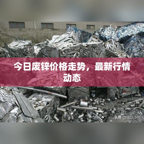 今日废锌价格走势，最新行情动态