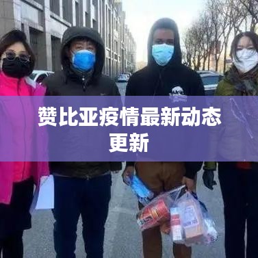 赞比亚疫情最新动态更新