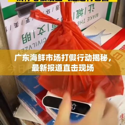 广东海鲜市场打假行动揭秘，最新报道直击现场