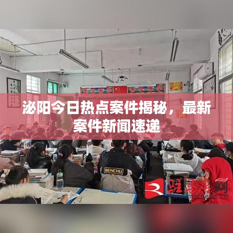 泌阳今日热点案件揭秘，最新案件新闻速递