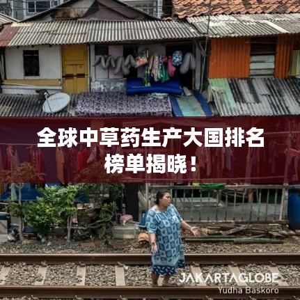 全球中草药生产大国排名榜单揭晓！