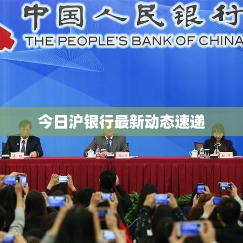 今日沪银行最新动态速递