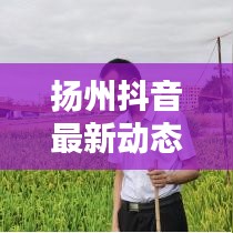 扬州抖音最新动态速递