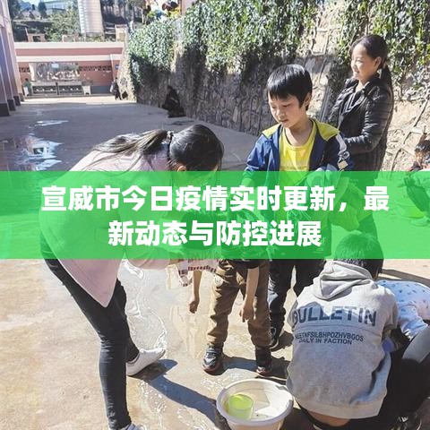 宣威市今日疫情实时更新，最新动态与防控进展