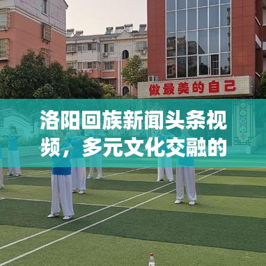 洛阳回族新闻头条视频，多元文化交融的魅力展现