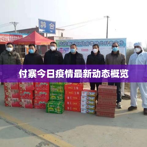 付寨今日疫情最新动态概览