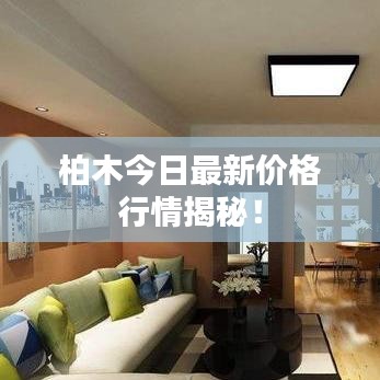 柏木今日最新价格行情揭秘！