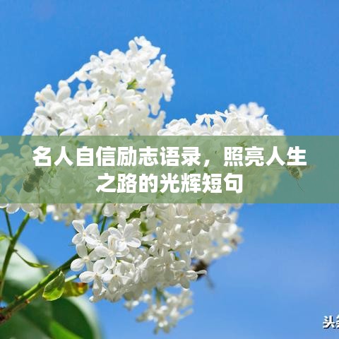 名人自信励志语录，照亮人生之路的光辉短句